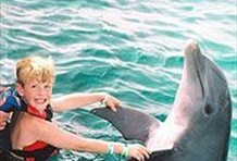 Dolphin Royal Swim in Isla Mujeres